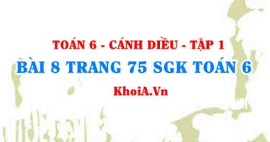 Bài 8 trang 75 SGK Toán 6 tập 1 Cánh Diều